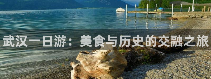 娱乐从琳琅榜开始笔趣阁