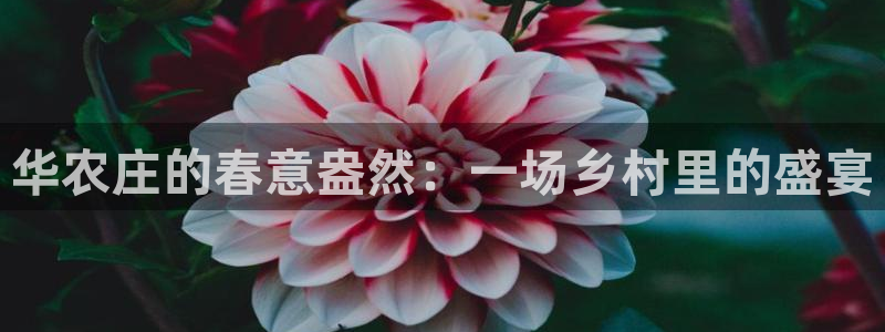 琳琅国际娱乐会所怎么样