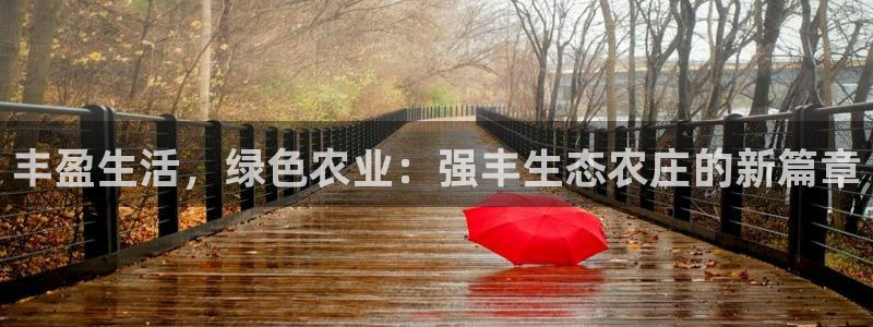 琳琅科技娱乐机器