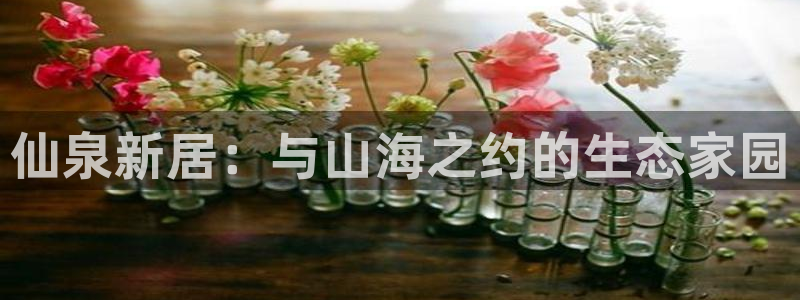 琳琅娱乐免费线上观看