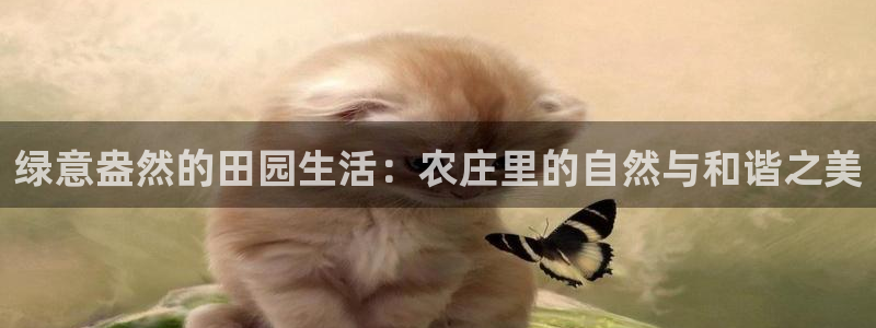 琳琅娱乐600