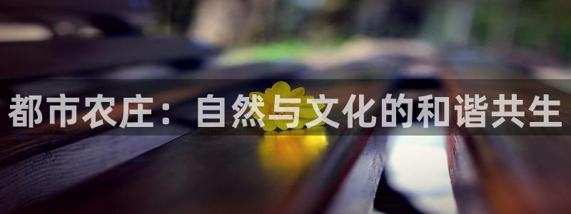 琳琅娱乐工作室