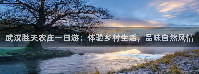 琳琅娱乐在哪直播