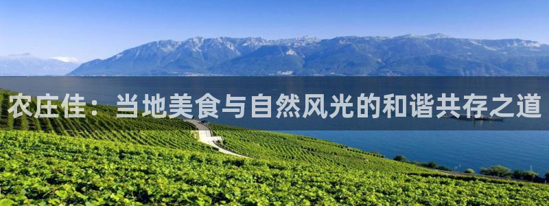 琳琅娱乐代理怎么样