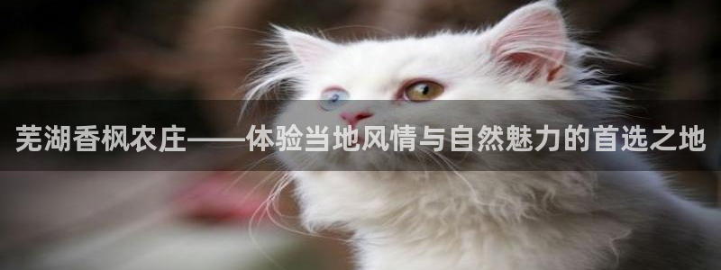 琳琅娱乐装7O777