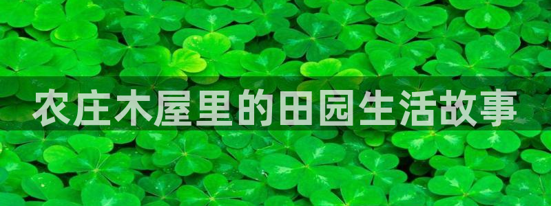 娱乐从琳琅榜开始的小说