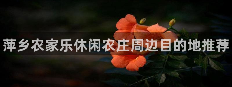琳琅娱乐社区