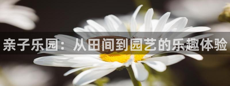 琳琅娱乐a