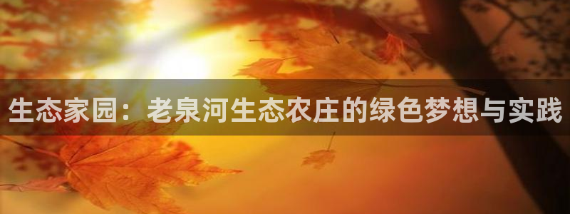 琳琅作者娱乐圈女主