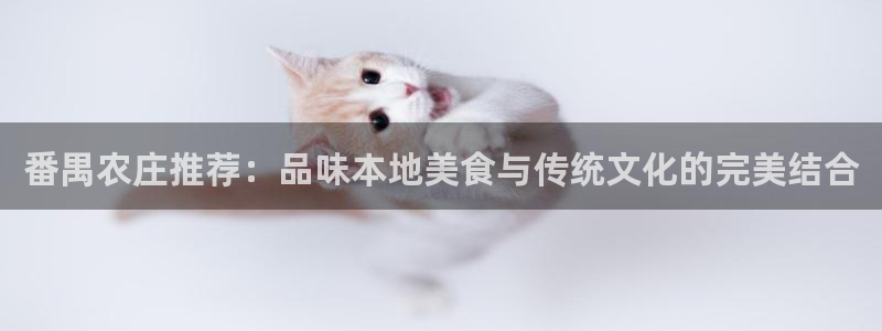 琳琅娱乐天美2