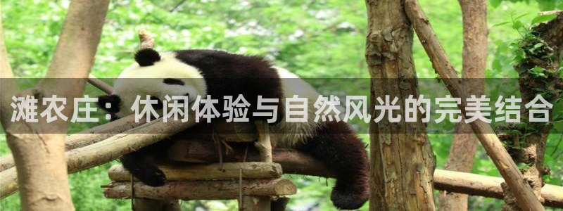 琅琳琅娱乐舍区