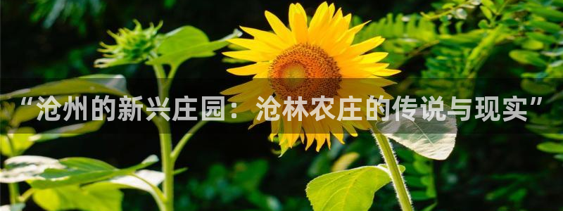 琳琅科技qq娱乐机器人怎么搞