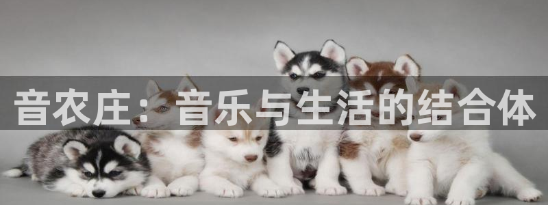 琳琅娱乐代理人是谁