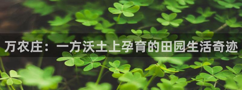 琅琳琅娱乐