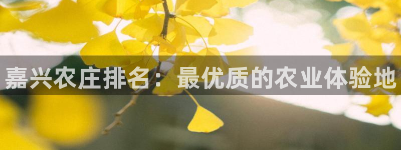 琳琅天上qq飞车娱乐