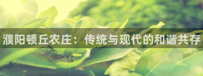 琳琅娱乐工作室
