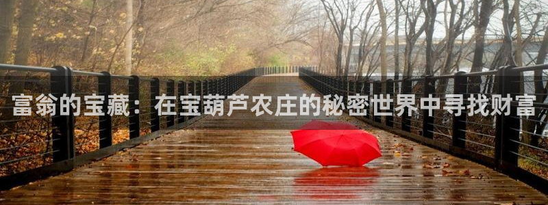 琳琅娱乐工作室招聘信息