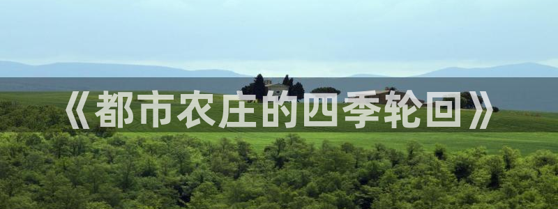 娱乐从琳琅榜开始的小说