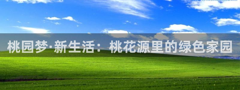 琳琅科技娱乐机器人