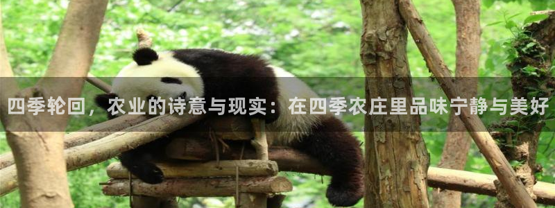 琳琅娱乐工作室招聘