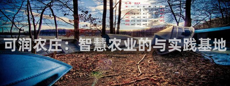 琅琳琅娱乐