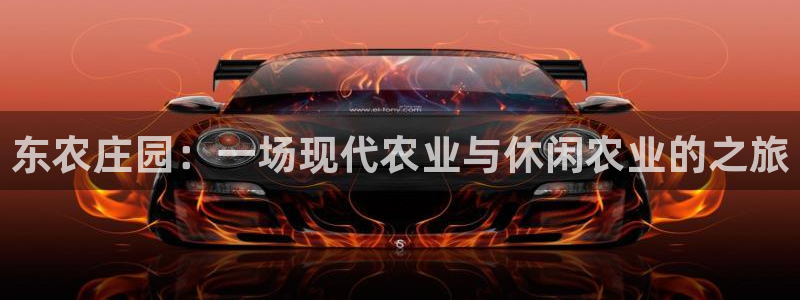 琳琅娱乐是什么