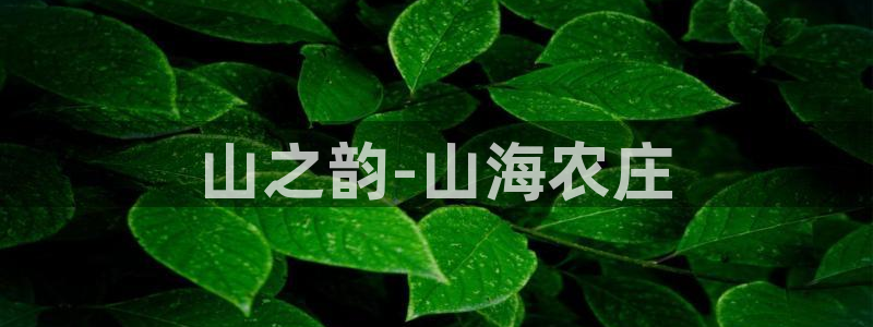 琳琅娱乐m