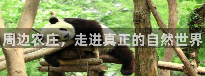 琳琅科技娱乐QQ机器人