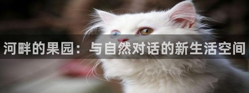 琅琳琅娱乐