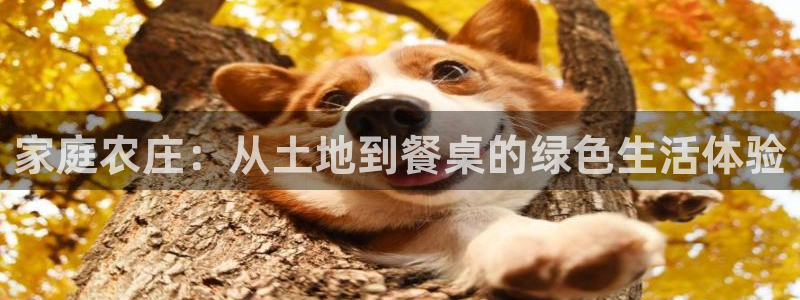 琳琅天上qq飞车娱乐