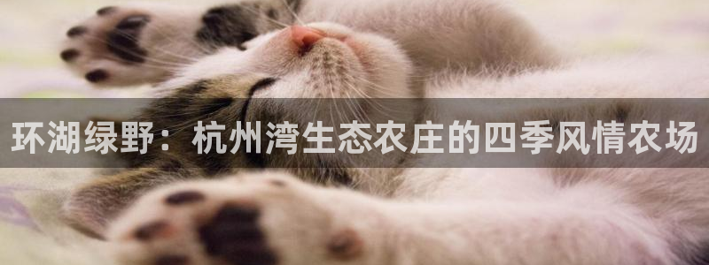 青娱娱乐琳琅导航