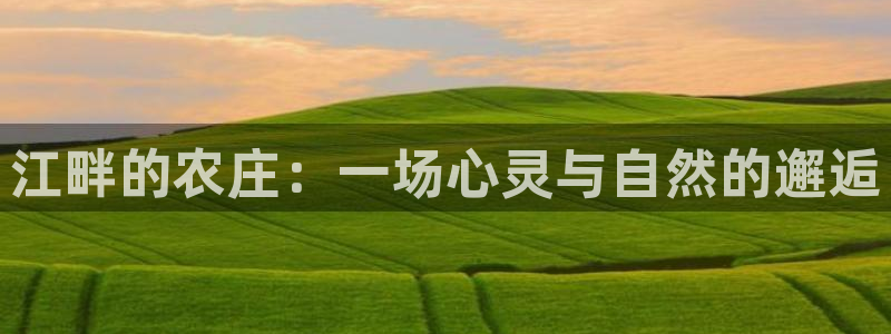 琳琅娱乐社区
