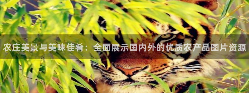 梧州琳琅娱乐城