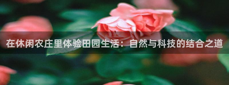 琳琅娱乐官网