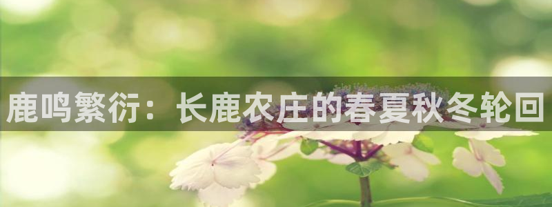 琳琅科技娱乐机器人