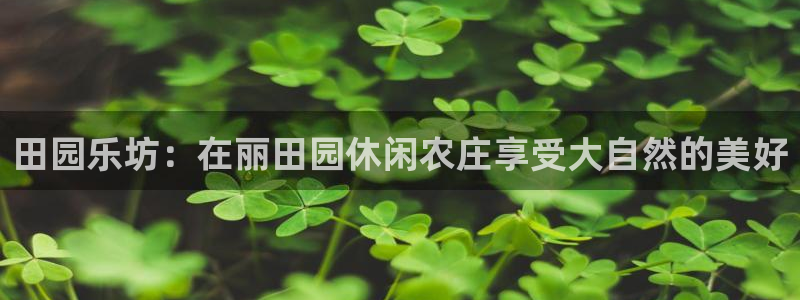 琳琅娱乐工作室招聘条件
