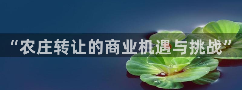 琳琅娱乐怎么样知乎