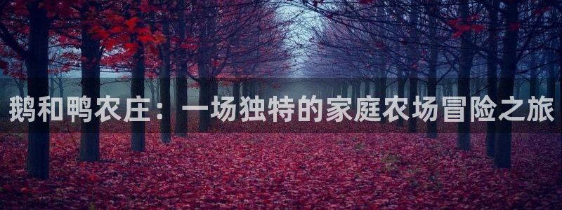 琳琅娱乐周7O777