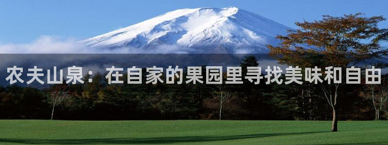琳琅娱乐600