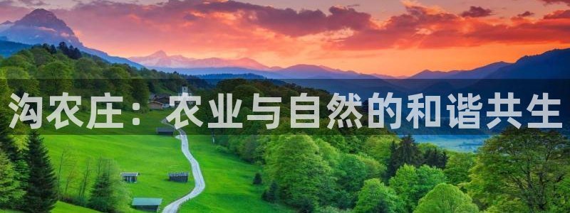 琳琅娱乐600