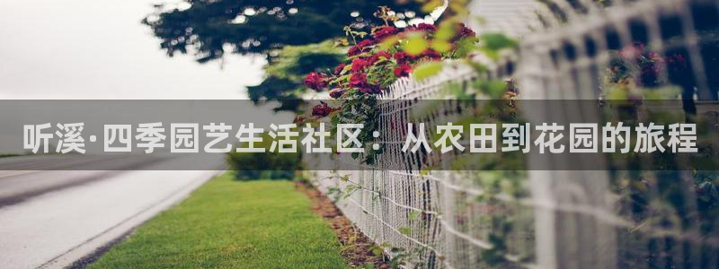 娱乐 从琳琅榜开始