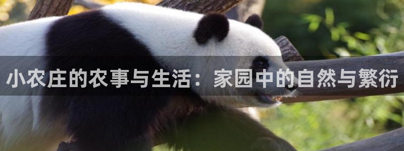 琳琅娱乐平台