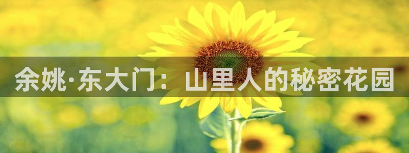 琳琅作者娱乐圈女主