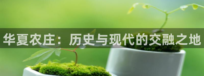 琳琅娱乐组飞车