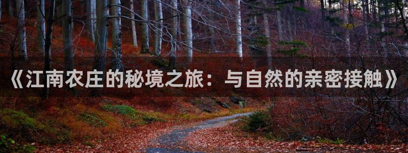 琳琅科技娱乐