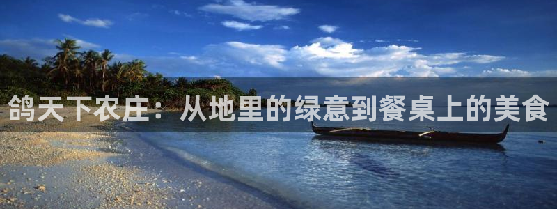 qq飞车琳琅娱乐组