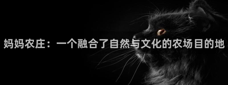 梧州琳琅娱乐城