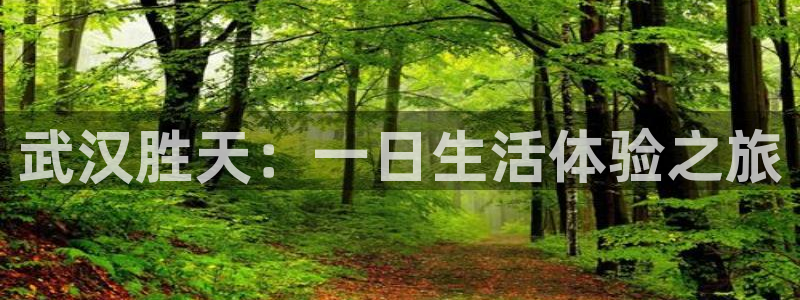 琳琅娱乐在线注册