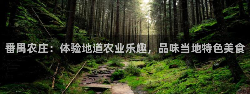 琳琅作者娱乐圈女主
