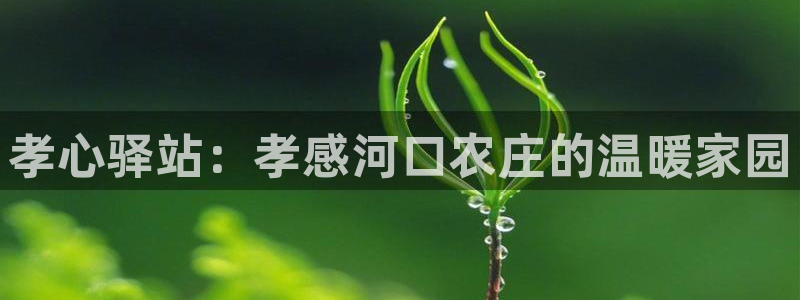 琳琅游戏娱乐
